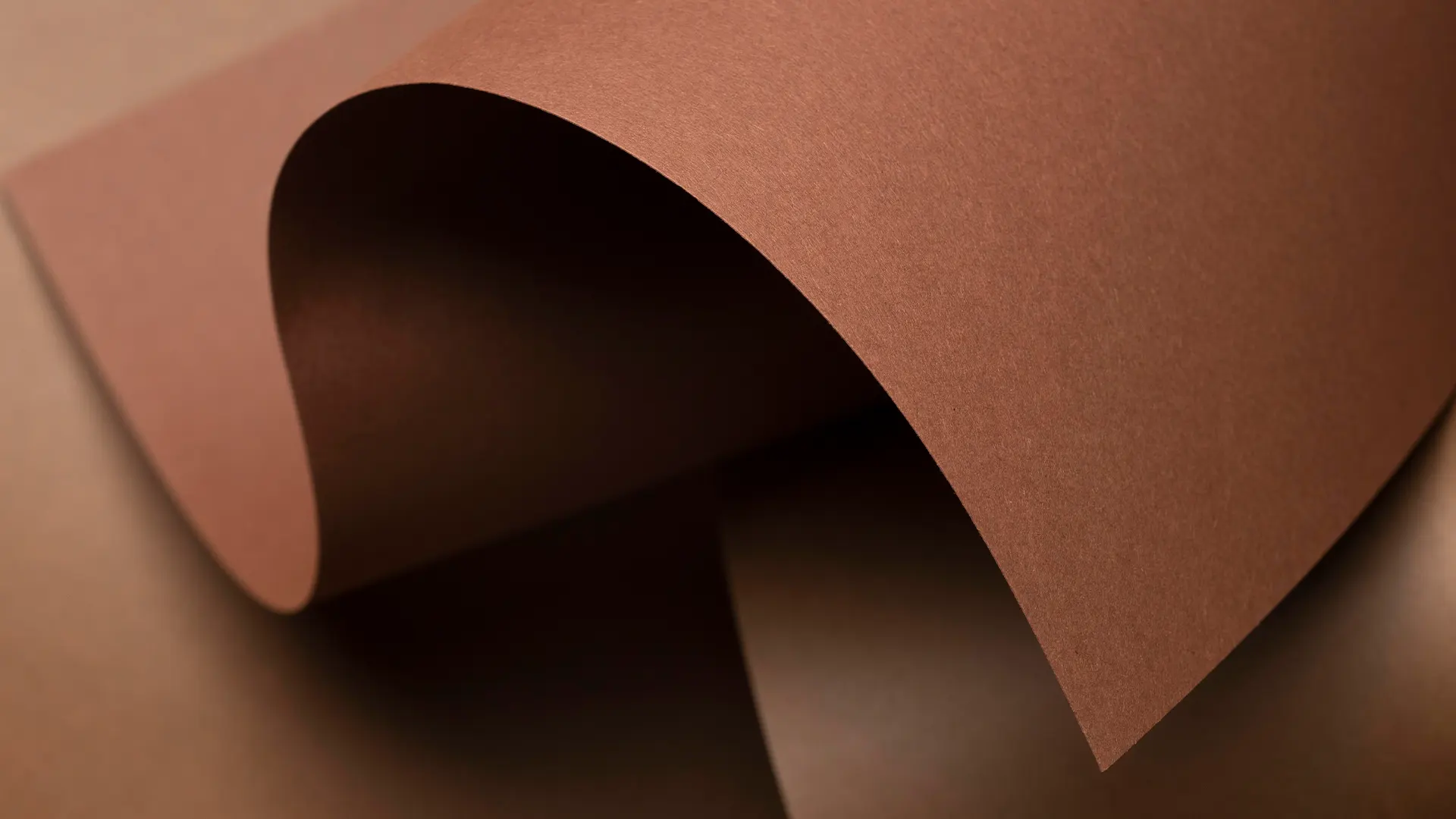 Curved brown paper surface